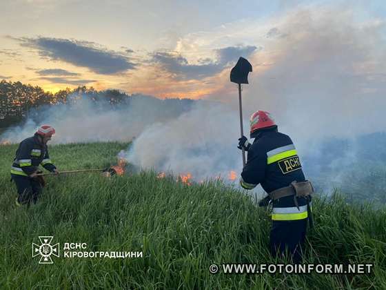 На Кіровоградщині шість разів горів сухостій